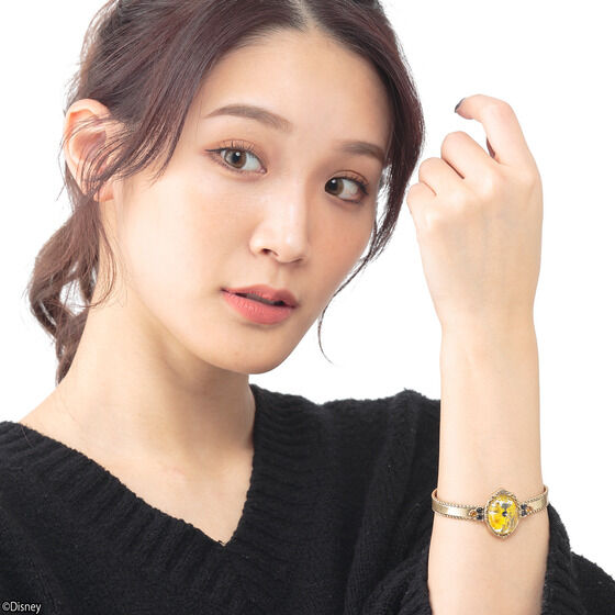 �f�B�Y�j�[�c�C�X�e�b�h�����_�[�����h �t�����[�o���O�� �T�o�i�N���[