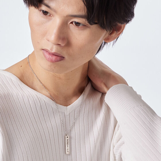 ʃC_[W@WIND SCALE@v[glbNX