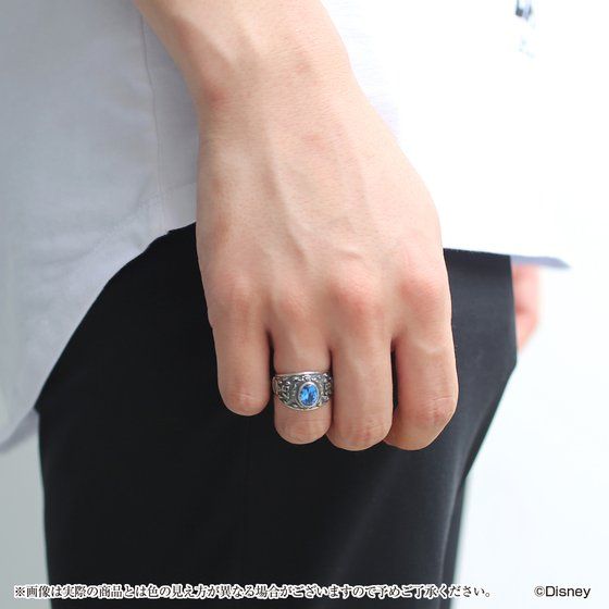 �f�B�Y�j�[ �c�C�X�e�b�h�����_�[�����h�@�J���b�W�����O(�C�O�j�n�C�h)