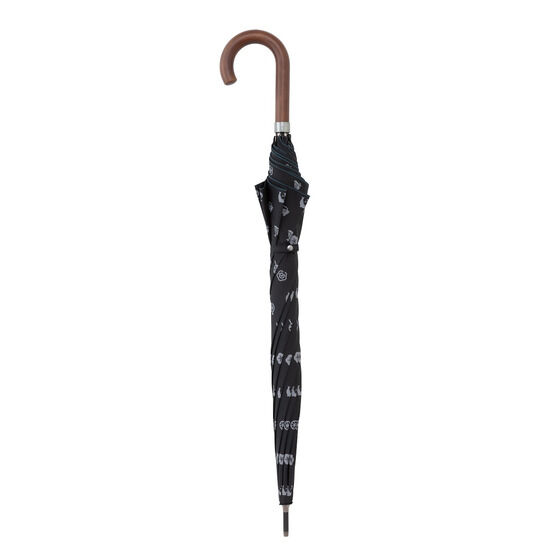 ���u���C�u�I�T���V���C��!!�@�W�����v�� �J�p���P