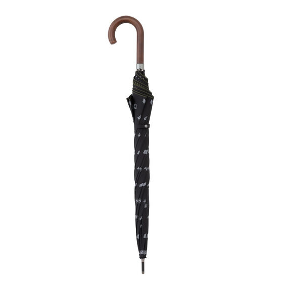 ���u���C�u�I������w���X�N�[���A�C�h�����D��@�W�����v�� �J�p���P