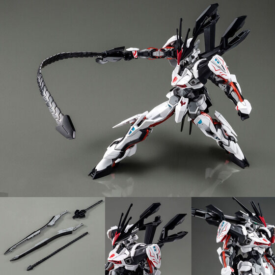 ＨＧ 1/144 ロードアストレイΩ【２０２２年１１月発送】