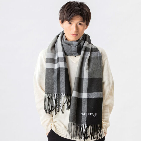 ���ʃ��C�_�[W�@WIND SCAE�@�唻�X�g�[��