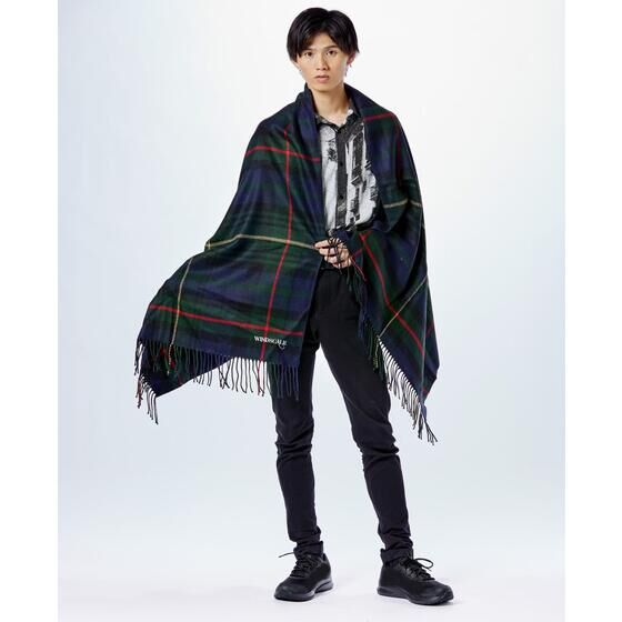 ���ʃ��C�_�[W�@WIND SCAE�@�唻�X�g�[��