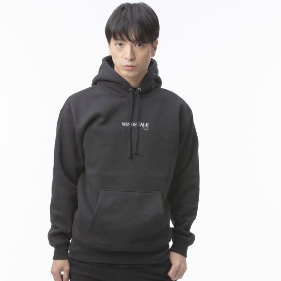 ���ʃ��C�_�[W�@WIND SCALE�@���S�h�J�@�v���I�[�o�[�p�[�J�[