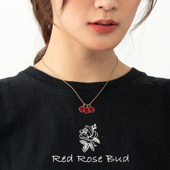 ʃC_[I[Y@^WhR{_ @lbNX