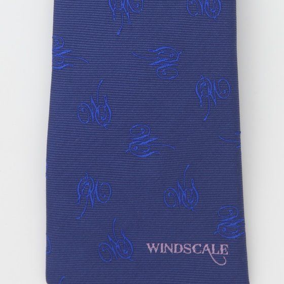 ���ʃ��C�_�[W WIND SCALE�@�l�N�^�C�@WS�����i�u���[�j