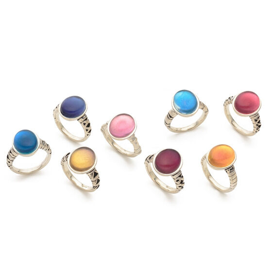 �S�ł̐n�@�A�C���`�[�t�����O�y�l���󒍁F2022�N6�������z