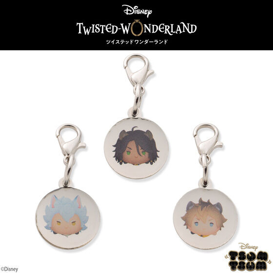 �f�B�Y�j�[ �c�C�X�e�b�h�����_�[�����h �c���c�� �`���[���t���u���X���b�g�p �`���[���P�� �T�o�i�N���[