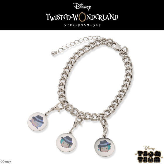 �f�B�Y�j�[ �c�C�X�e�b�h�����_�[�����h �c���c�� �`���[���t���u���X���b�g�p �`���[���P�� �I�N�^���B�l��