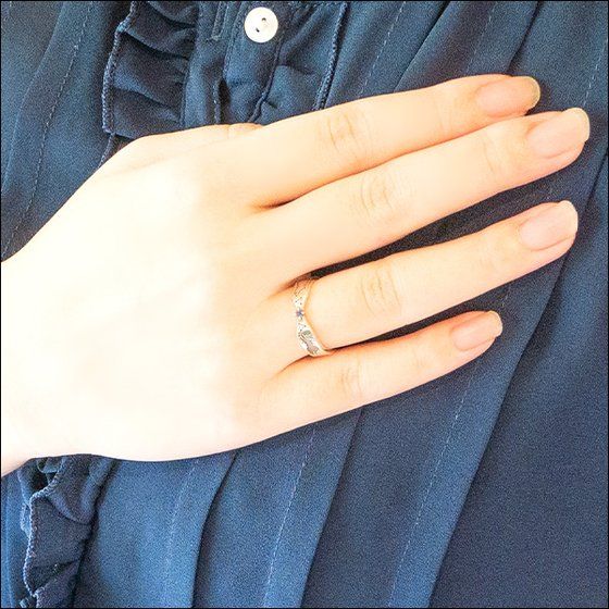 ��p����~�G�e���m���V�@�R���{���[�V���������O�y2022�N8�������z