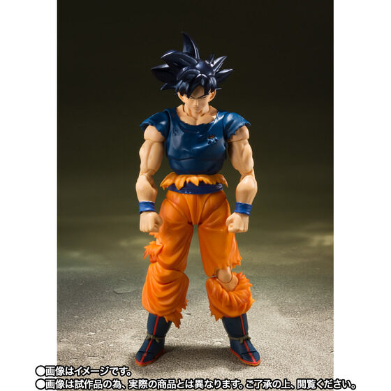 y̔zS.H.Figuarts  g̋ɈӁghiCTMIj