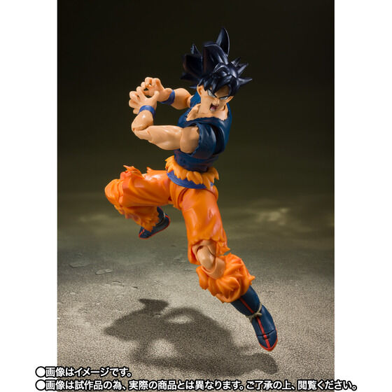 y̔zS.H.Figuarts  g̋ɈӁghiCTMIj