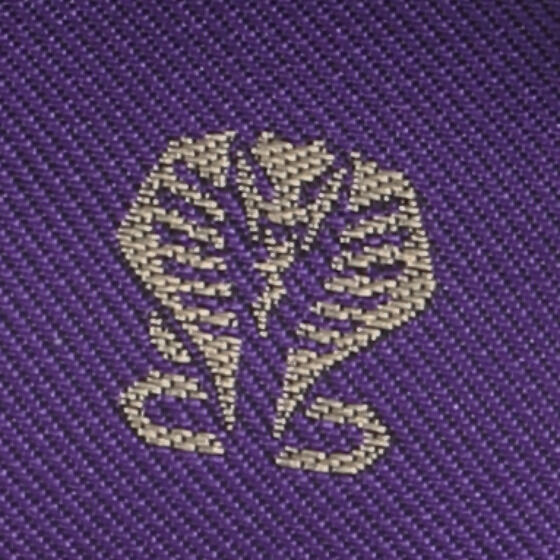 ���ʃ��C�_�[���� �{�v2�܂���z