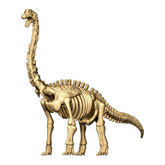 ガシャポンで発掘!!恐竜化石2