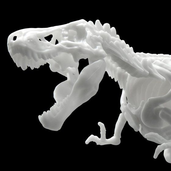 恐竜骨格プラモデル ティラノサウルス【２０２２年８月発送】