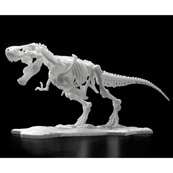 恐竜骨格プラモデル ティラノサウルス【２０２２年８月発送】