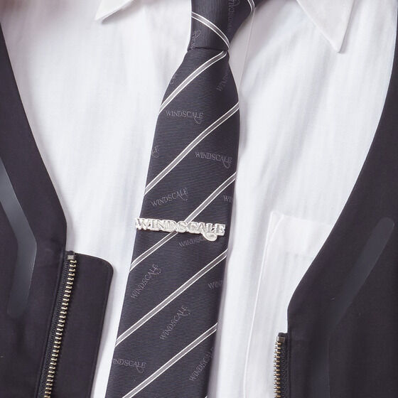 ���ʃ��C�_�[W�@WIND SCALE�@�l�N�^�C�s��