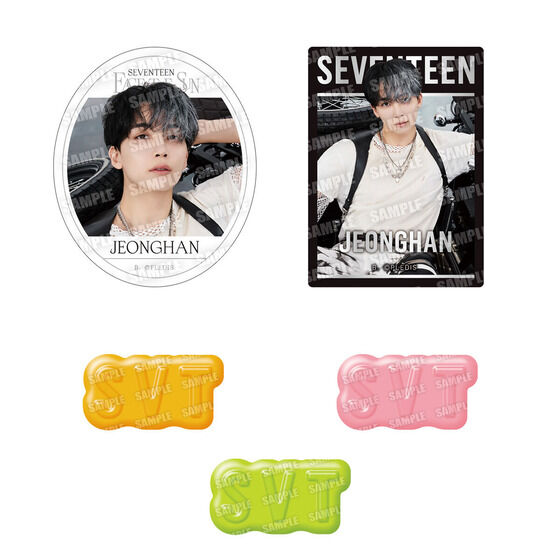 SVT GUMMI From PLEDIS ENTERTAINMENT SEVENTEEN(12個入)