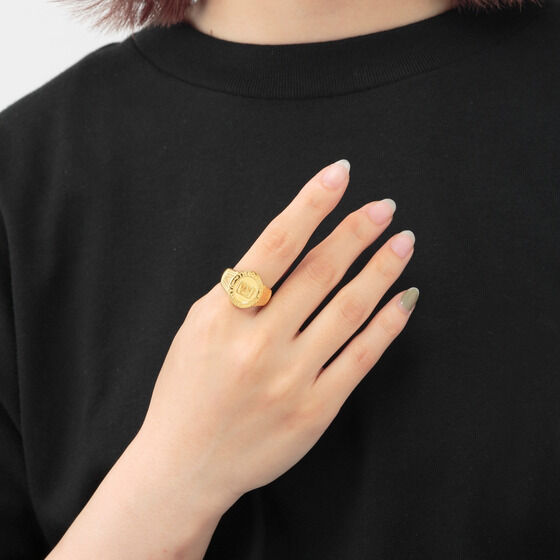 �l�̃q�[���[�A�J�f�~�A�@�J���b�W�����O�R���N�V�����y�񎟎󒍁F2022�N10�������z