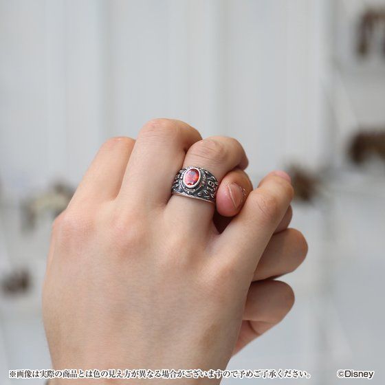 �f�B�Y�j�[ �c�C�X�e�b�h�����_�[�����h�@�J���b�W�����O�i�n�[�c���r�����j