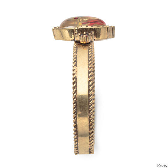 �f�B�Y�j�[�c�C�X�e�b�h�����_�[�����h �t�����[�o���O�� �X�J���r�A