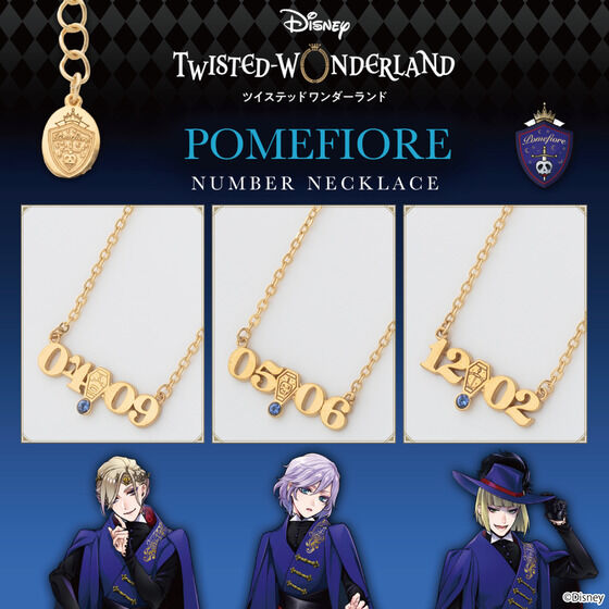 �f�B�Y�j�[ �c�C�X�e�b�h�����_�[�����h�@�i���o�[�l�b�N���X �|���t�B�I�[��