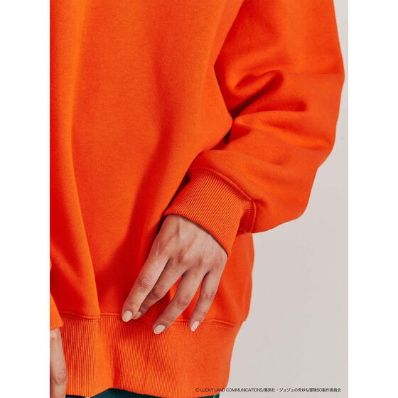 �y�W���W���̊�Ȗ`�� �X�g�[���I�[�V�����~PAMEO POSE�zG.�c.st JAIL�v���I�[�o�[