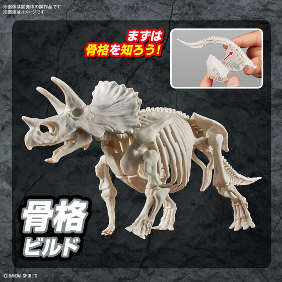 プラノサウルス トリケラトプス