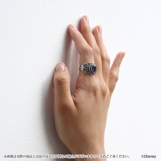 �f�B�Y�j�[ �c�C�X�e�b�h�����_�[�����h�@�J���b�W�����O(�|���t�B�I�[��)