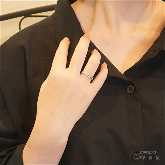 HUNTER�~HUNTER�~�G�e���m���V�@���`�[�t�����O(�S6��)