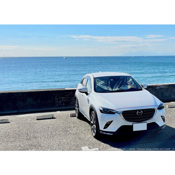 R[hMAX t̃[V J[VF[hS8큄