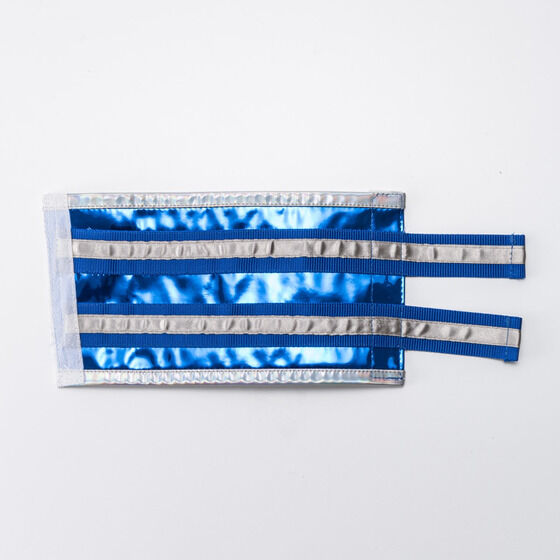 ���l����L���O�I�[�W���[�~GUT'S DYNAMITE CABARETS�@�����}�E�K�X�g�@�u���X