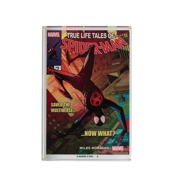 MARVEL/ XpC_[}FANXEUEXpC_[o[X/ ANubN