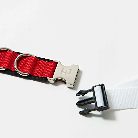 HENSHINxg ʃC_[d | HENSHIN by KAMEN RIDER