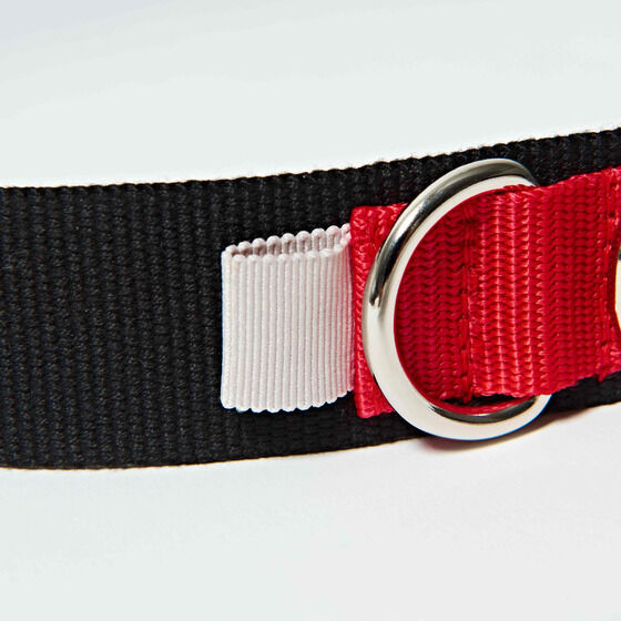 HENSHINxg ʃC_[d | HENSHIN by KAMEN RIDER