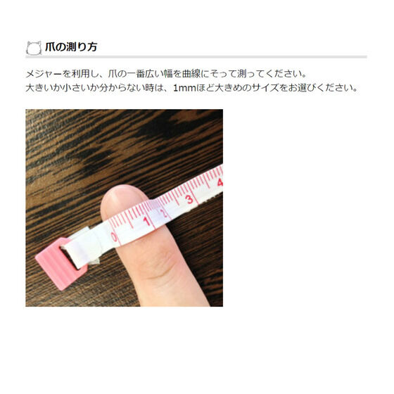 Ƃ߂A Girlfs Side 4th Heart@o[Xf[v[gieYjy񎟎󒍁F2023N8͂z