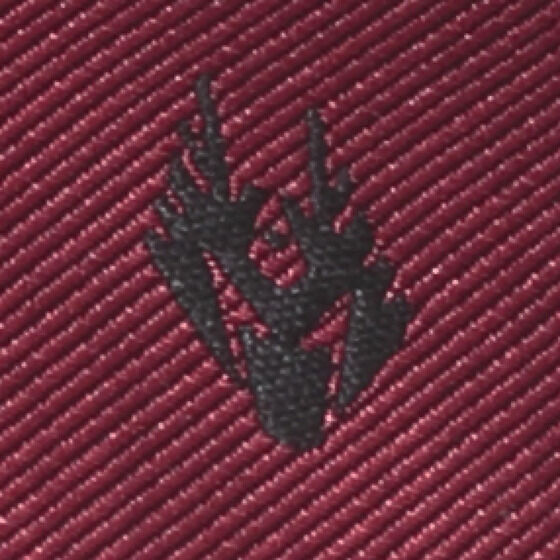 ʃC_[R {vL[P[Xy2023N10z