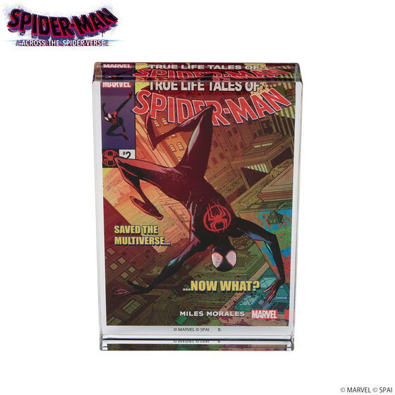 MARVEL/ XpC_[}FANXEUEXpC_[o[X/ ANubNy2023N10z