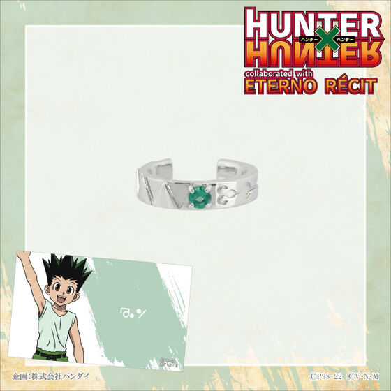 HUNTER~HUNTER~GemV@`[tC[JtiS6jiЎpjyĔ́z