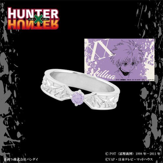 HUNTER~HUNTER~GemV e@OyĔ́z