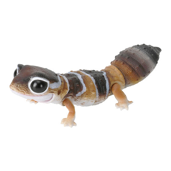 No.282 レオパ ニシアフ ヤモリ トカゲ ヒョウモントカゲモドキ No.282 レオパ ニシアフ ヤモリ トカゲ ヒョウモントカゲモドキ