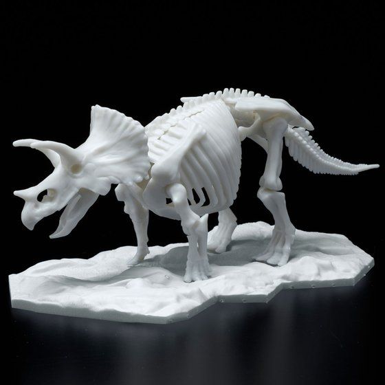 恐竜骨格プラモデル トリケラトプス