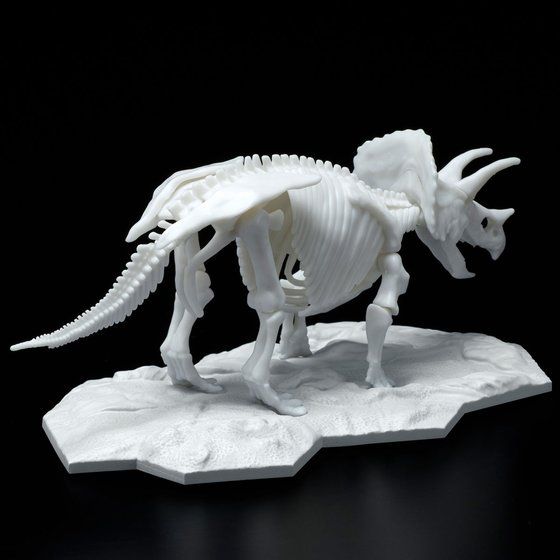 恐竜骨格プラモデル トリケラトプス
