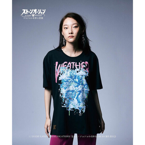 �W���W���̊�Ȗ`�� �X�g�[���I�[�V�����yglamb�zT�V���c  W�ER�y�Ĕ́z