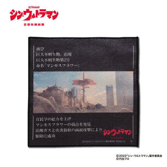 VEEg}@ЈЏb~j^I3ZbgyĔ́z