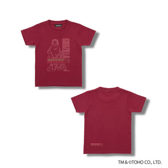 wSWVSfXgCAxTVcyǂpzyĔ́z