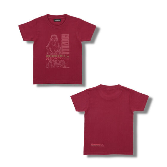 wSWVSfXgCAxTVcyǂpzyĔ́z