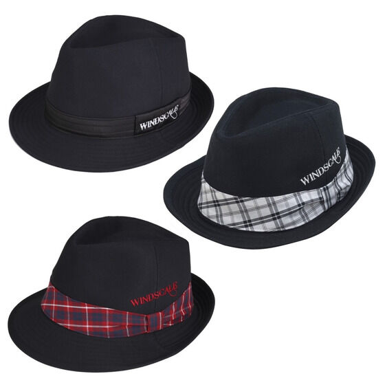 ʃC_[W@WIND SCALE@ đY@znbg