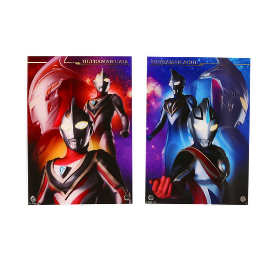 Eg}KCA tAN{[hiS2jyĔ́z